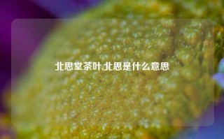 北思堂茶叶,北思是什么意思