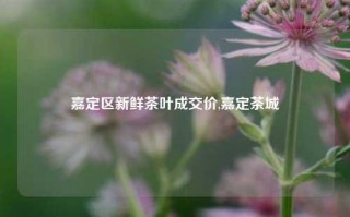 嘉定区新鲜茶叶成交价,嘉定茶城