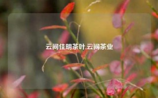 云间佳明茶叶,云间茶业