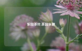 乐园茶叶,茶园乐趣