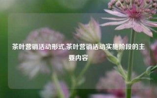 茶叶营销活动形式,茶叶营销活动实施阶段的主要内容