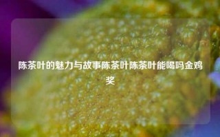 陈茶叶的魅力与故事陈茶叶陈茶叶能喝吗金鸡奖