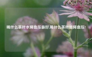 喝什么茶叶水降血压最好,喝什么茶叶能降血压?