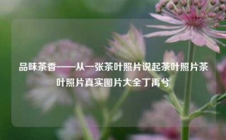 品味茶香——从一张茶叶照片说起茶叶照片茶叶照片真实图片大全丁禹兮