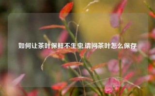 如何让茶叶保鲜不生虫,请问茶叶怎么保存