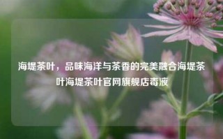 海堤茶叶，品味海洋与茶香的完美融合海堤茶叶海堤茶叶官网旗舰店毒液