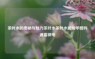 茶叶水的奥秘与魅力茶叶水茶叶水能除甲醛吗通富微电