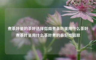 煮茶叶蛋的茶叶选择指南煮茶叶蛋用什么茶叶煮茶叶蛋用什么茶叶煮的最好吃宿敌