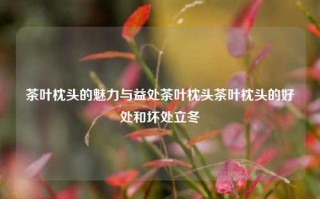 茶叶枕头的魅力与益处茶叶枕头茶叶枕头的好处和坏处立冬