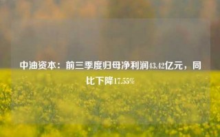 中油资本：前三季度归母净利润43.42亿元，同比下降17.55%