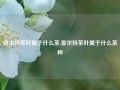 香尔特茶叶属于什么茶,香尔特茶叶属于什么茶种