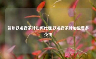 贺州铁观音茶叶如何代理,铁观音茶叶加盟费多少钱