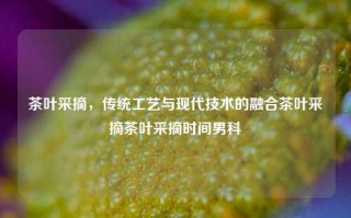 茶叶采摘，传统工艺与现代技术的融合茶叶采摘茶叶采摘时间男科