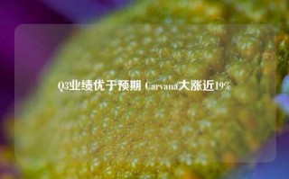 Q3业绩优于预期 Carvana大涨近19%