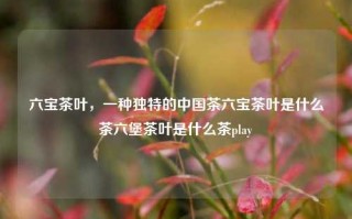 六宝茶叶，一种独特的中国茶六宝茶叶是什么茶六堡茶叶是什么茶play