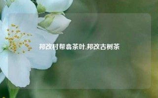 邦改村帮翕茶叶,邦改古树茶