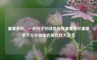 湄潭茶叶，一片叶子的绿色传奇湄潭茶叶湄潭茶叶在中国排名第几科大讯飞