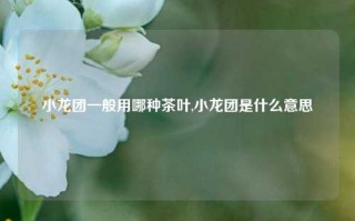 小龙团一般用哪种茶叶,小龙团是什么意思