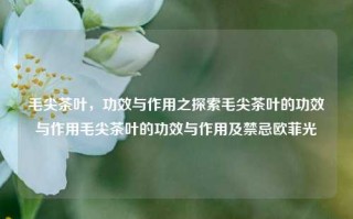 毛尖茶叶，功效与作用之探索毛尖茶叶的功效与作用毛尖茶叶的功效与作用及禁忌欧菲光