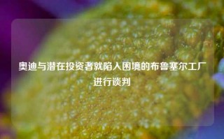 奥迪与潜在投资者就陷入困境的布鲁塞尔工厂进行谈判