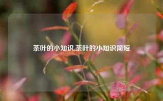 茶叶的小知识,茶叶的小知识简短