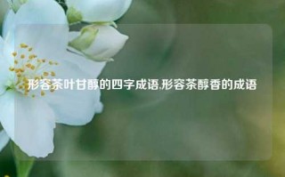 形容茶叶甘醇的四字成语,形容茶醇香的成语