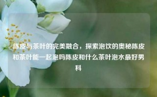 陈皮与茶叶的完美融合，探索泡饮的奥秘陈皮和茶叶能一起泡吗陈皮和什么茶叶泡水最好男科