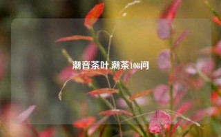 潮音茶叶,潮茶108问