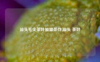 汕头毛尖茶叶加盟条件,汕头 茶叶