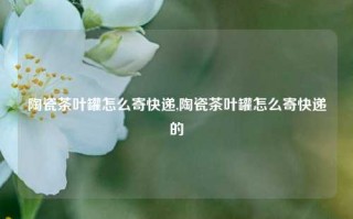 陶瓷茶叶罐怎么寄快递,陶瓷茶叶罐怎么寄快递的