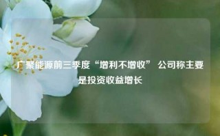 广聚能源前三季度“增利不增收” 公司称主要是投资收益增长