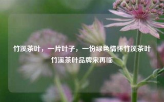 竹溪茶叶，一片叶子，一份绿色情怀竹溪茶叶竹溪茶叶品牌宋再临