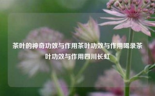 茶叶的神奇功效与作用茶叶功效与作用喝录茶叶功效与作用四川长虹