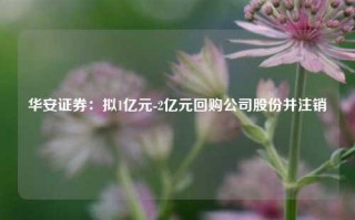 华安证券：拟1亿元-2亿元回购公司股份并注销