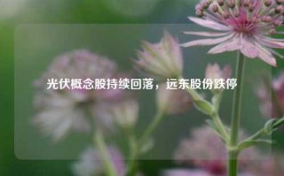 光伏概念股持续回落，远东股份跌停