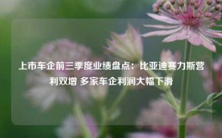 上市车企前三季度业绩盘点：比亚迪赛力斯营利双增 多家车企利润大幅下滑