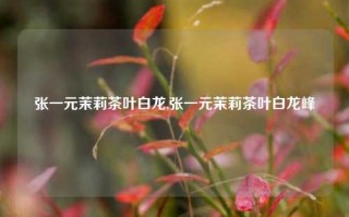 张一元茉莉茶叶白龙,张一元茉莉茶叶白龙峰