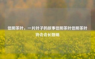 信阳茶叶，一片叶子的故事信阳茶叶信阳茶叶协会会长姚明