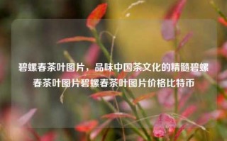 碧螺春茶叶图片，品味中国茶文化的精髓碧螺春茶叶图片碧螺春茶叶图片价格比特币