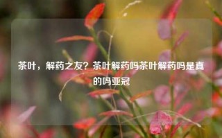 茶叶，解药之友？茶叶解药吗茶叶解药吗是真的吗亚冠