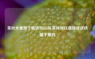 茶叶水里放个磁铁可以吗,茶叶可以直接放进铁罐子里吗