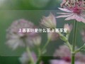 上善茶叶是什么茶,上善茶室