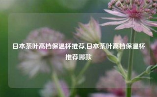 日本茶叶高档保温杯推荐,日本茶叶高档保温杯推荐哪款