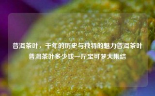 普洱茶叶，千年的历史与独特的魅力普洱茶叶普洱茶叶多少钱一斤宝可梦大集结