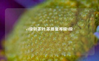 v4级别茶叶,茶质量等级4级