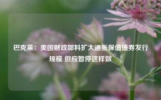 巴克莱：美国财政部料扩大通胀保值债券发行规模 但应暂停这样做