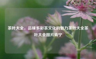 茶叶大全，品味多彩茶文化的魅力茶叶大全茶叶大全图片肯宁