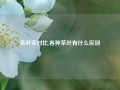 茶叶茶对比,各种茶叶有什么区别