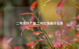 二号茶叶产量,二号红茶是什么茶