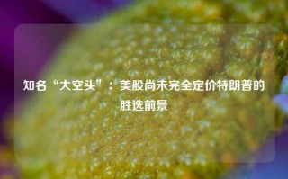 知名“大空头”：美股尚未完全定价特朗普的胜选前景